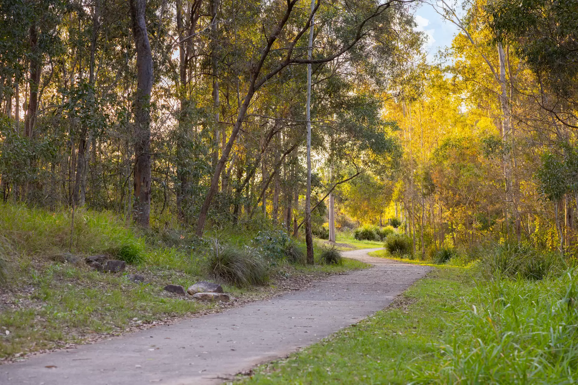 6 Mountain Bell Lane, Springfield Lakes Sold by Aurora Property - image 1