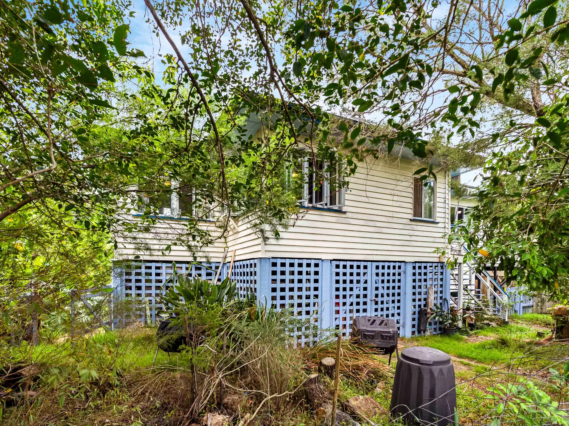 14 Chancellor Street, Sherwood Auction by Aurora Property - image 1