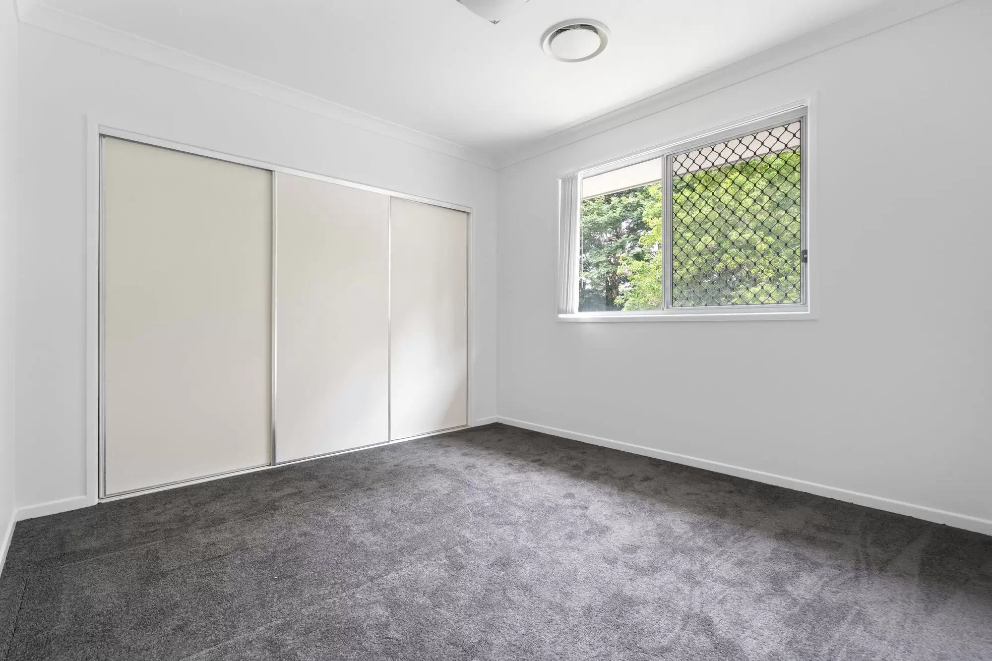17 Ellendale Circuit, Eight Mile Plains For Sale by Aurora Property - image 14