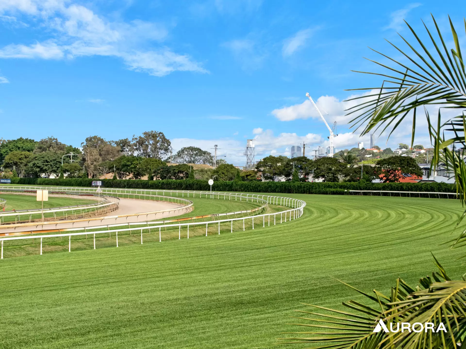21 Raceview Avenue, Hendra For Lease by Aurora Property - image 1