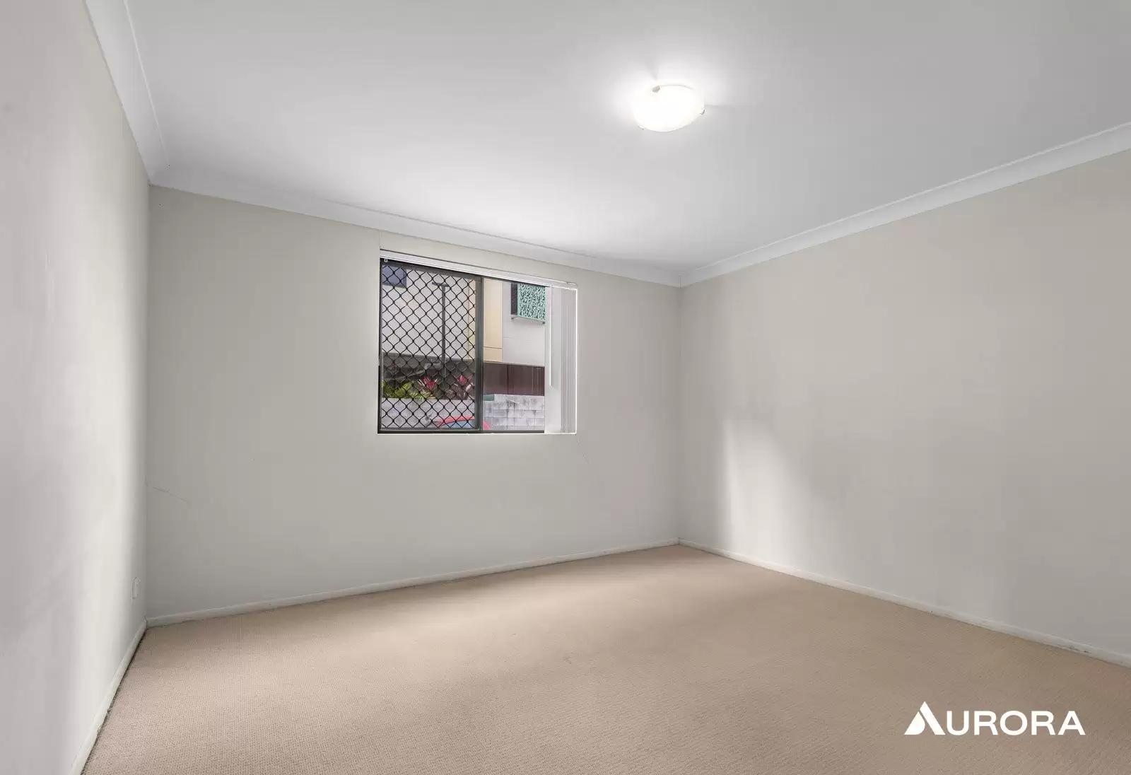 6/574 Kingsford Smith Drive, Hamilton For Lease by Aurora Property - image 4