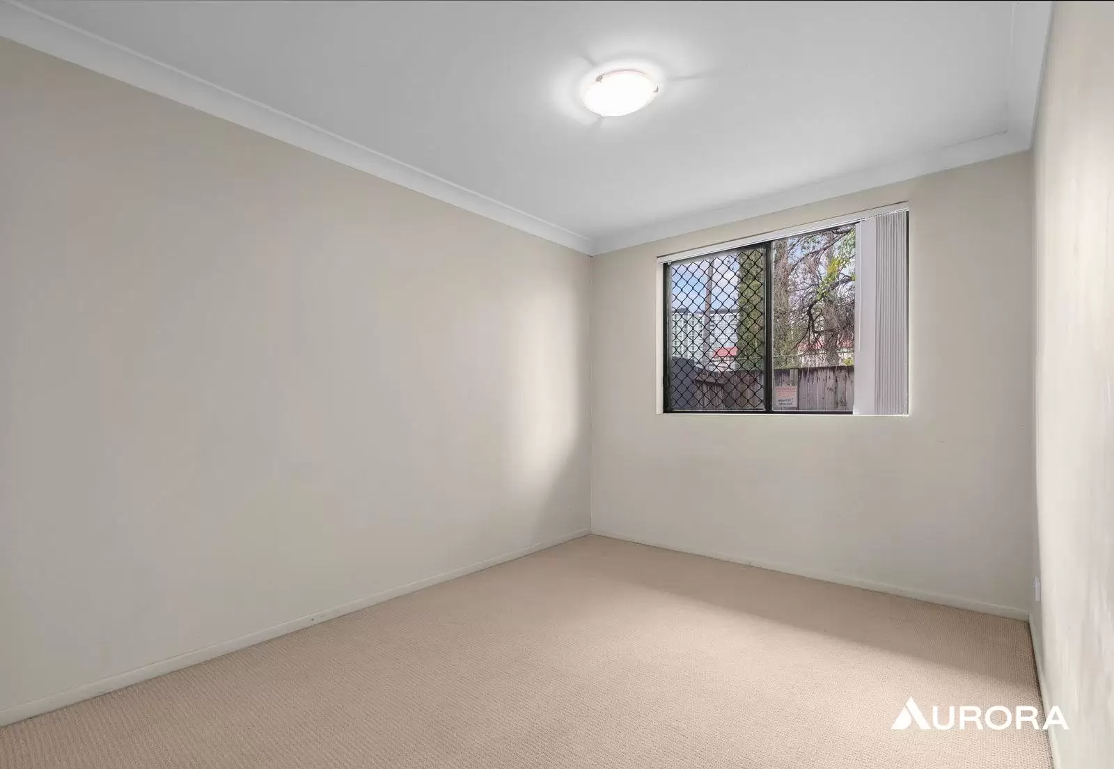 6/574 Kingsford Smith Drive, Hamilton For Lease by Aurora Property - image 5