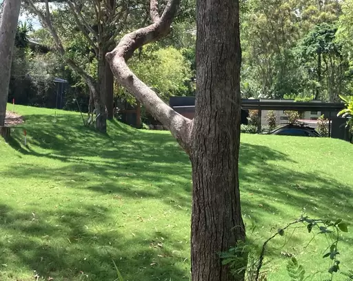 Lot 3 Land, Everton Hills Sold by Aurora Property